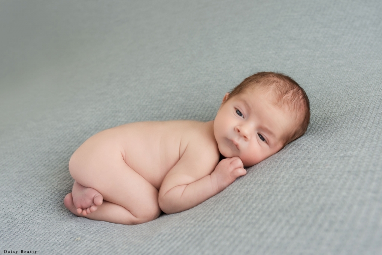 tribeca newborn photography by daisy beatty